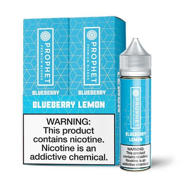 Prophet Premium Blueberry Lemon 2x 60ml Vape Juice